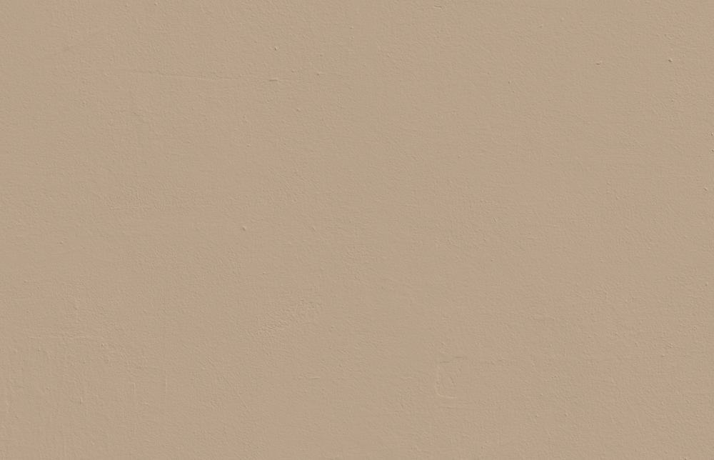 Textured wall decorated in Lick Beige 02 paint shade