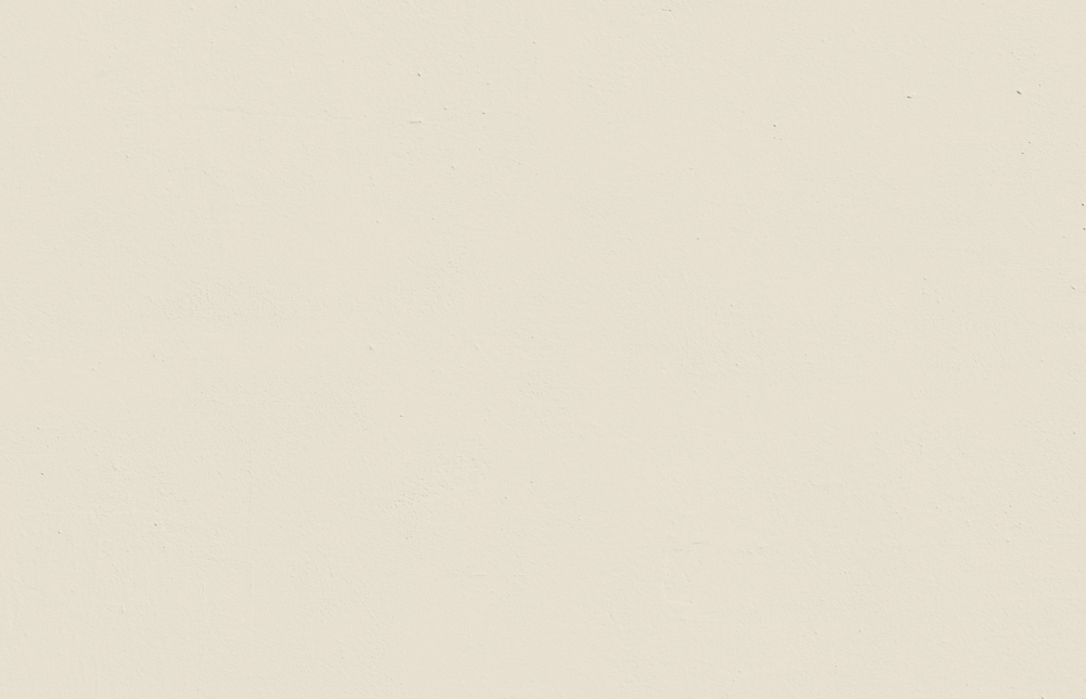 Textured wall decorated in Lick White 05 paint shade