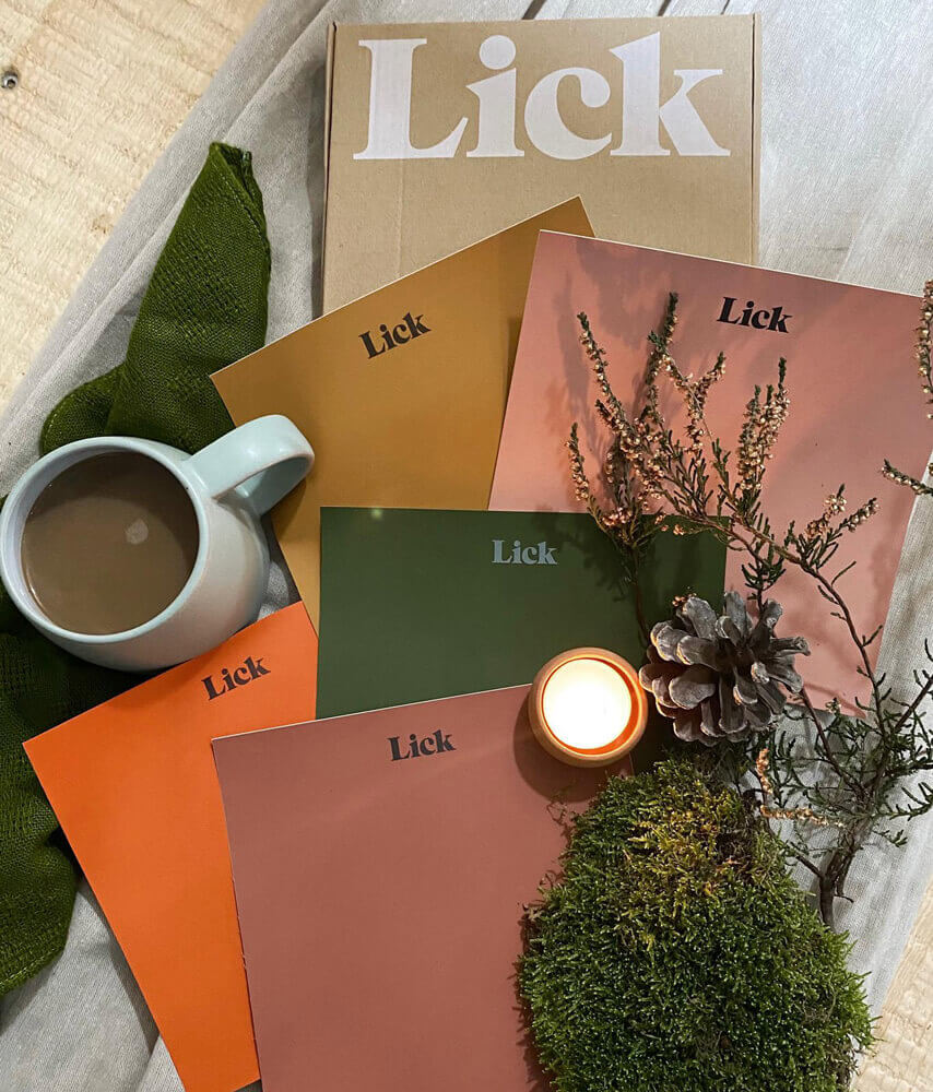 Cosy autumnal colour palette made up of a moodboard of Lick paint samples