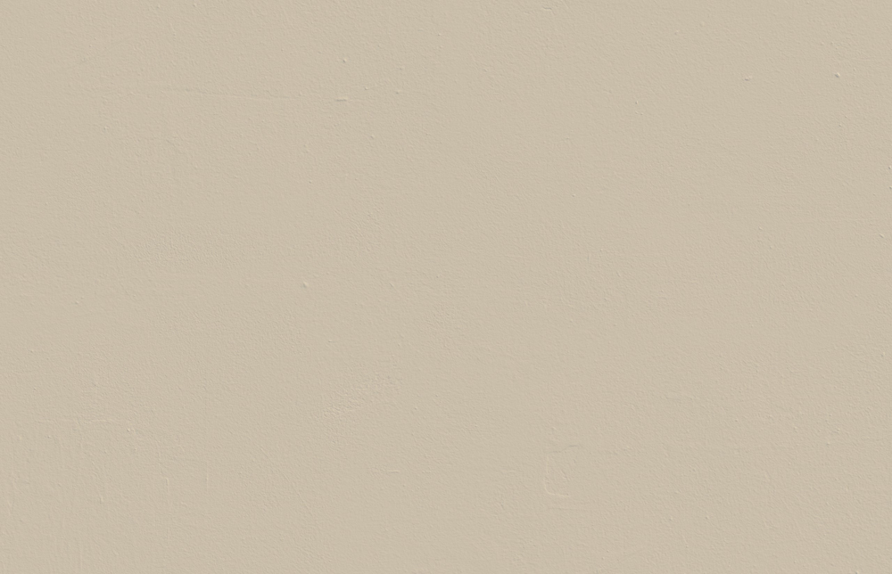 Textured wall decorated in Lick Greige 01 paint shade