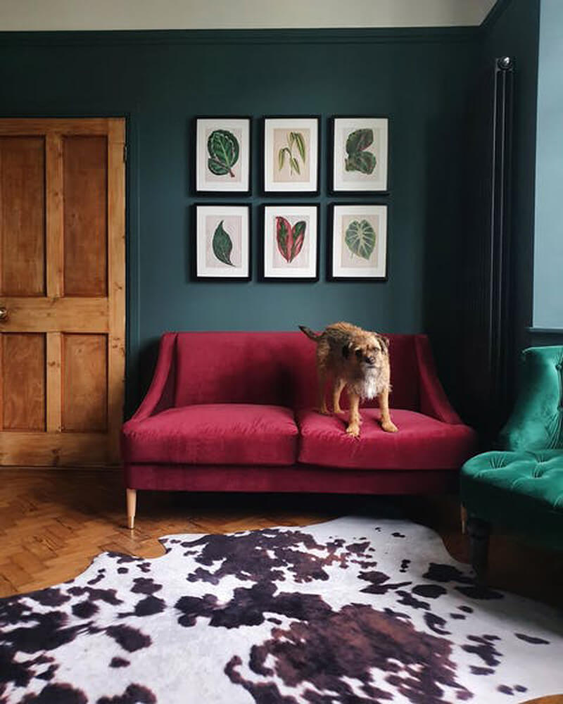 Living room with Lick Teal 03 walls and a dog perching on sofa
