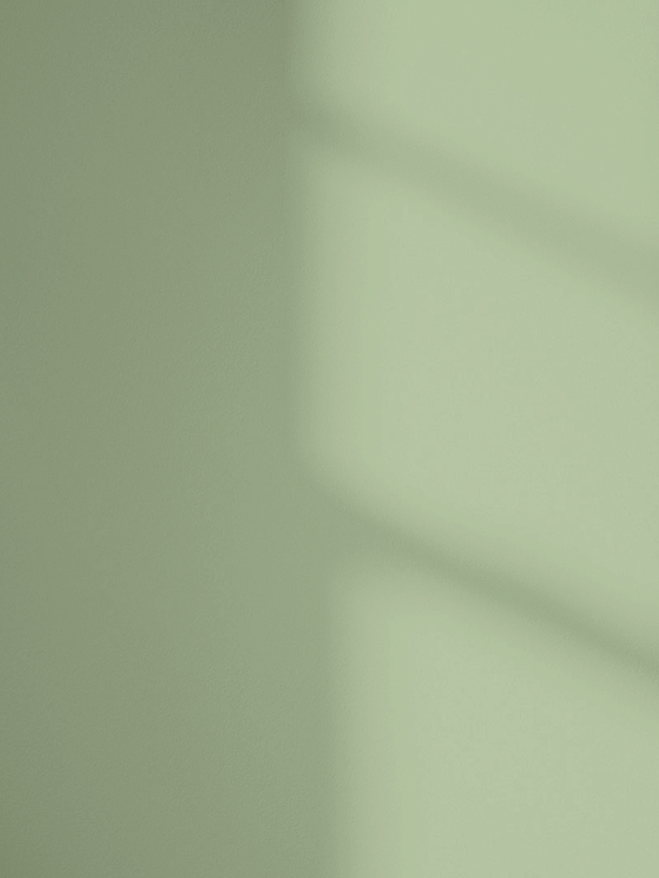 Lick Green 14 paint shade on the wall with shadow