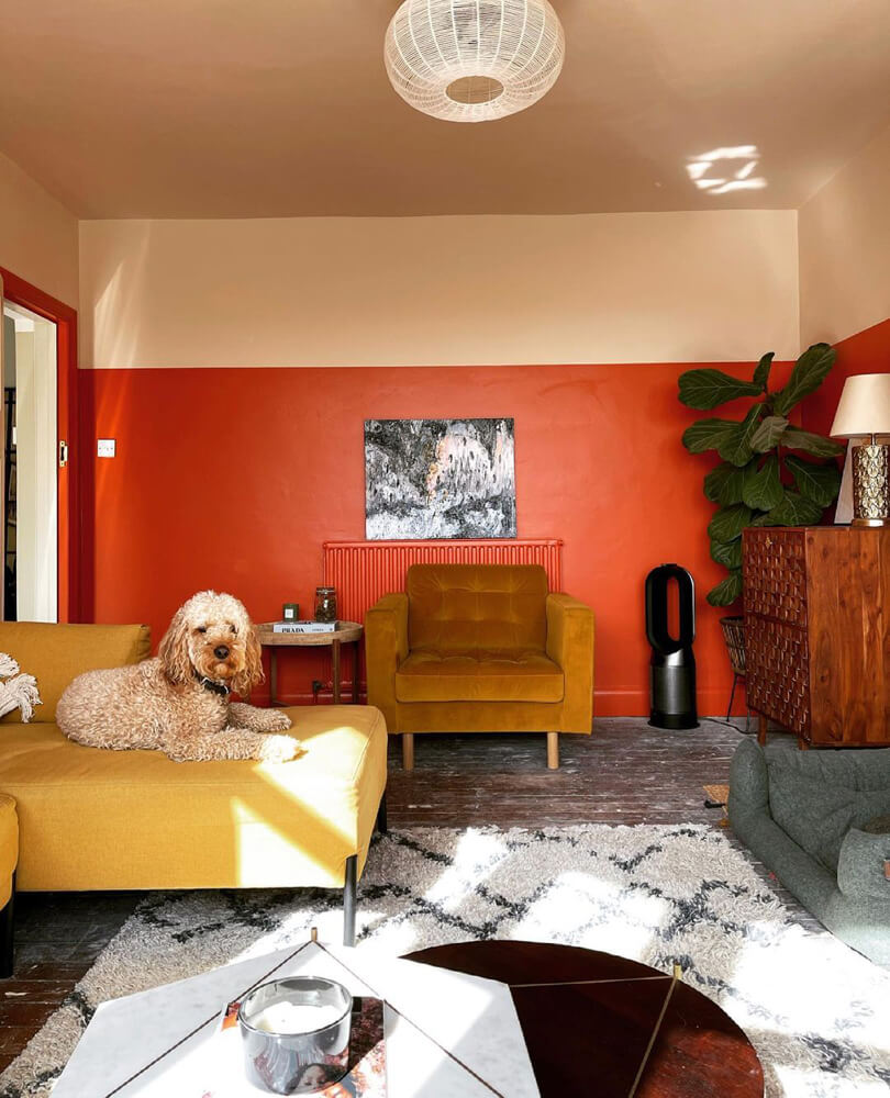 Orange and red living room with dog on couch