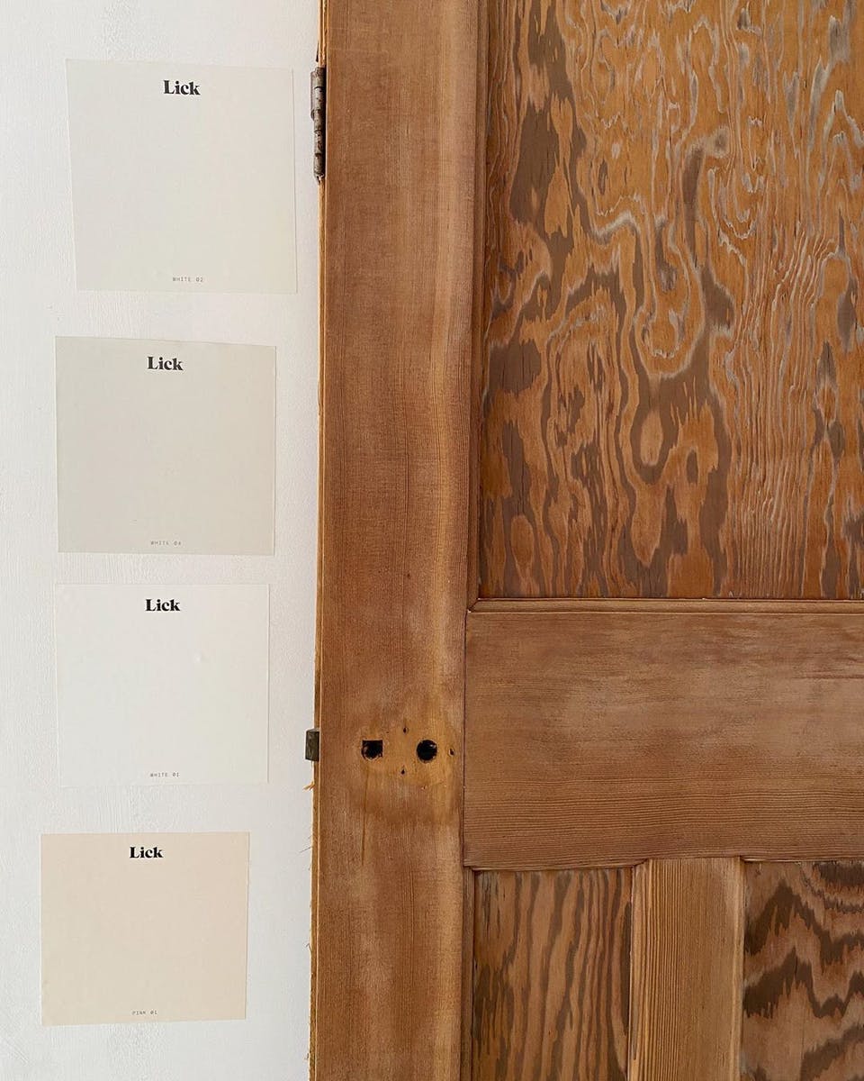 Lick paint samples on wall