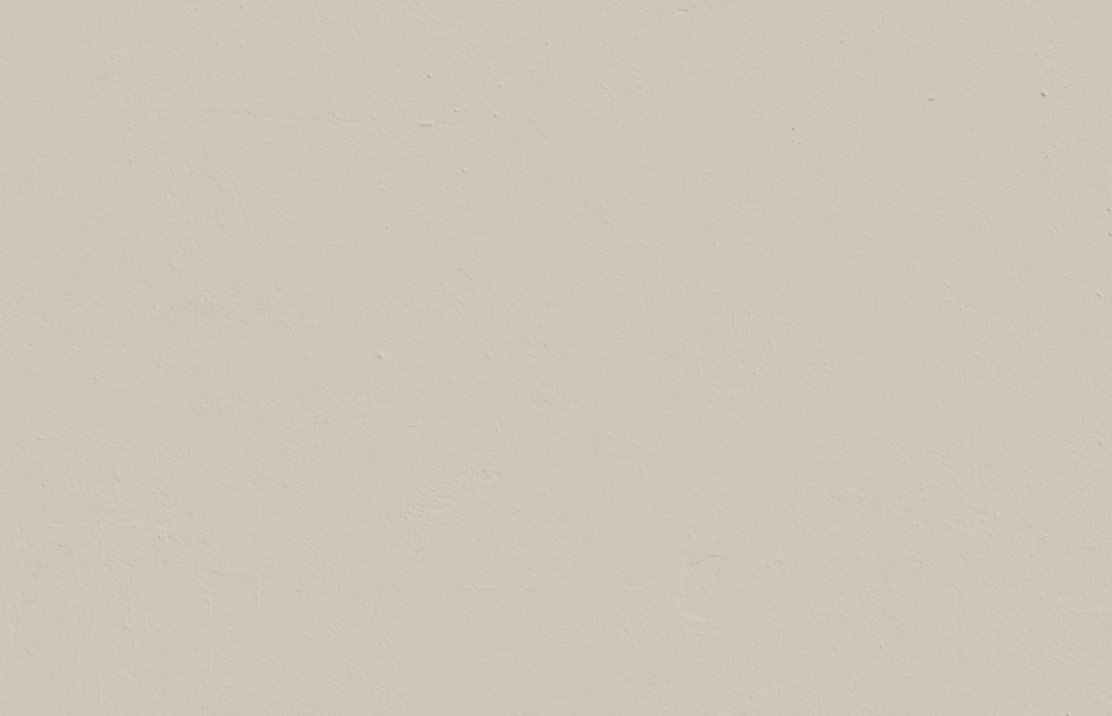 Textured wall decorated in Lick Greige 02 paint shade