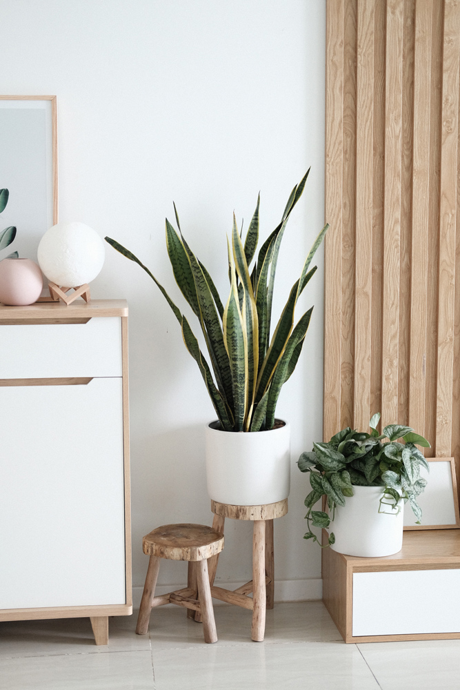 Scandi style living room styled in Unsplash