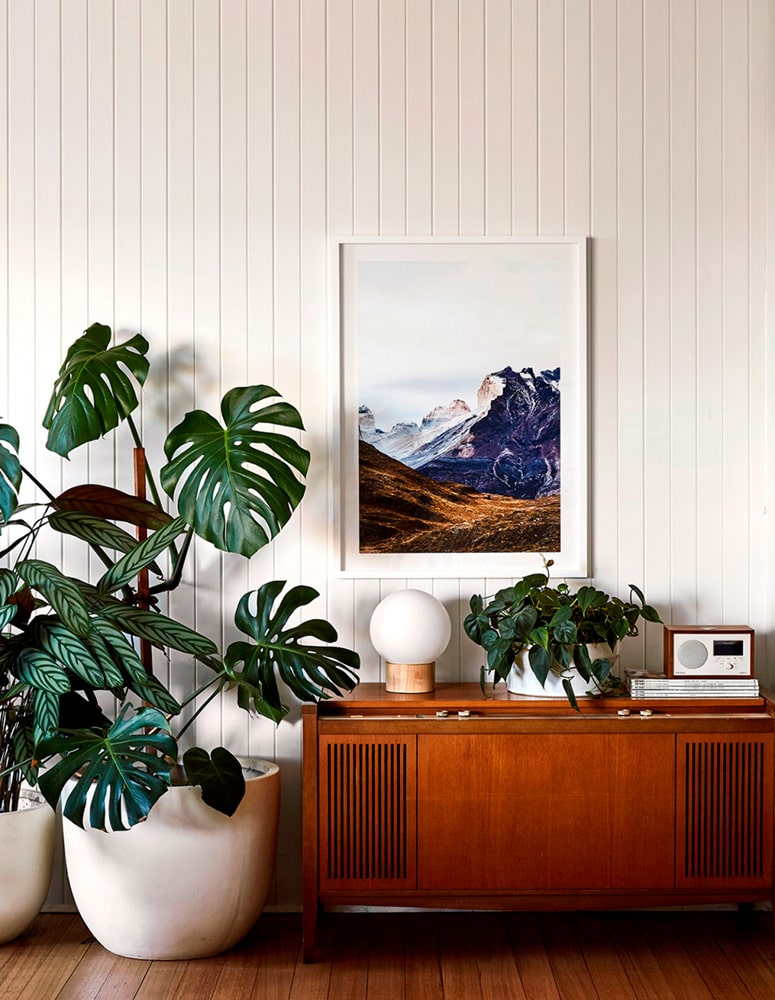 Mid-century modern living room