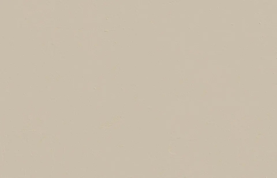 Textured wall decorated in Lick Greige 01 paint shade
