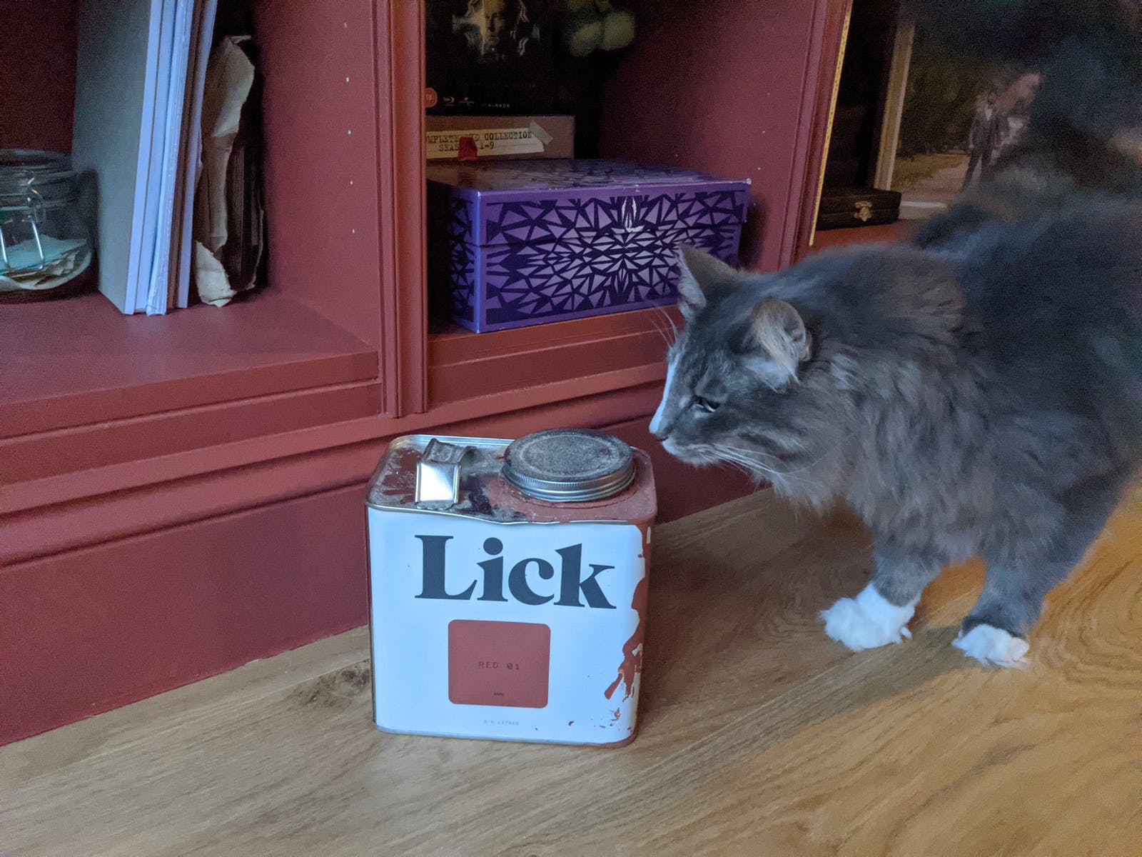 Billy-Bücherregal-Hack in Lick-Farbe Red 01 mit Farbdose und Katze, die darauf schaut
