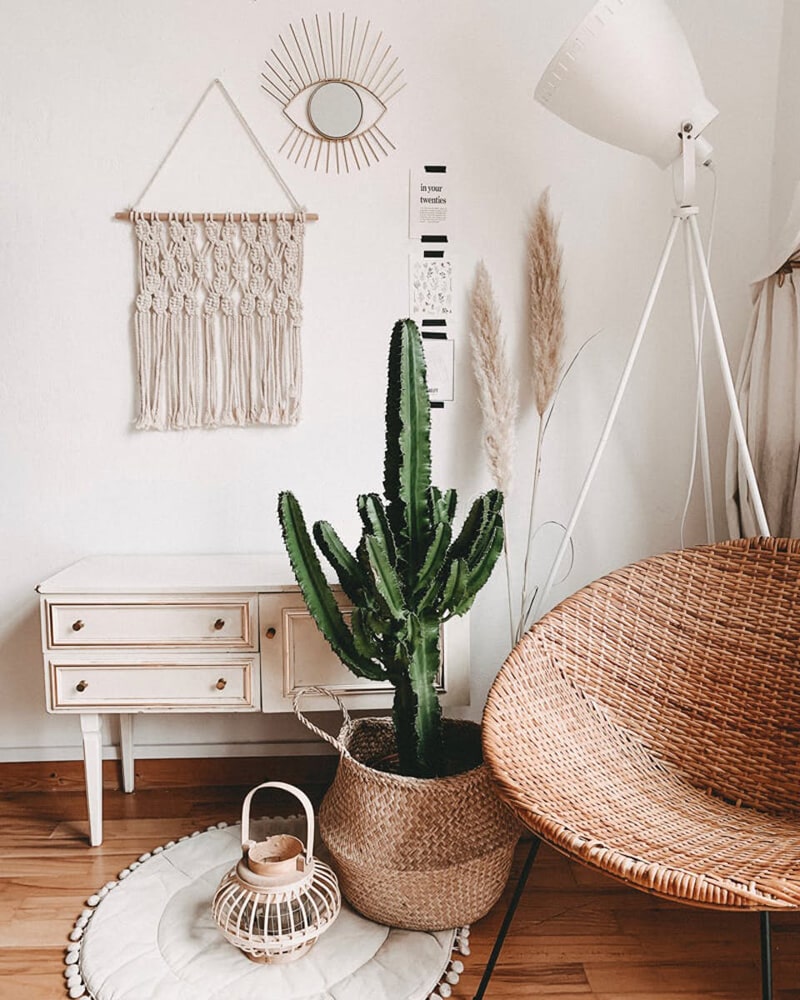 A boho living room with macrame and a cactus
